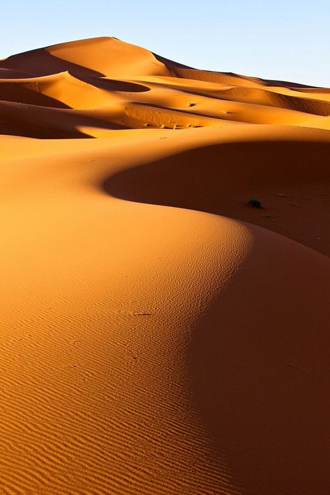 On the top of the flattest area you could imagine, suddenly a long mountain of sand rises. The Erg Chebbi dunes of wind-blown sand near the little town of Merzouga are renowned for their great height and size. Atlas Mountains Morocco, Morocco Travel, Crashing Waves, Atlas Mountains, Sand Dunes, Africa Travel, North Africa, Lonely Planet, Travel Insurance