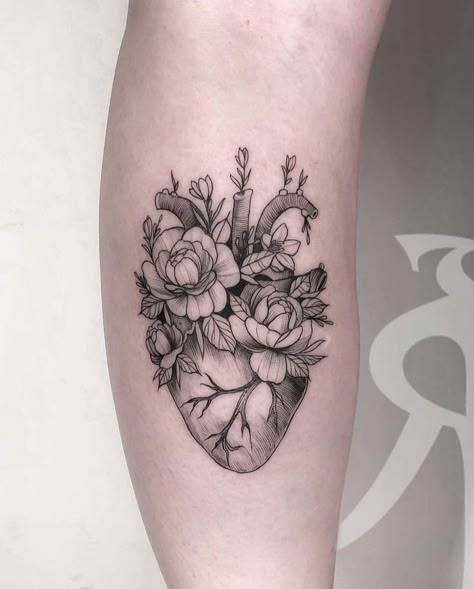 Heart Anatomy Tattoo, Human Heart Tattoo, Realistic Heart Tattoo, Heart Flower Tattoo, Anatomical Tattoos, Cactus Tattoos, Anatomy Tattoo, Anatomical Heart Tattoo, Tattoos Black Women