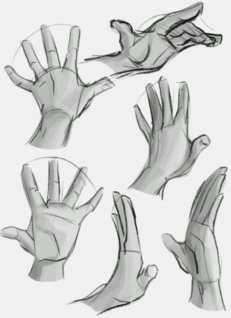 Hands Study, Draw Hands, Drawing Hands, Hand Drawing Reference, Anatomy Sketches, Hand Reference, Anatomy Drawing, Figure Drawing Reference, Anatomy Reference