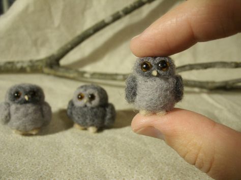 Tiny Critters that Will Capture Your Heart | LIVING FELT Blog! Felted Owls, Felted Owl, Tovad Ull, Felted Jewelry, Needle Felted Owl, Bra Tips, Little Owls, Felt Owls, Felt Owl