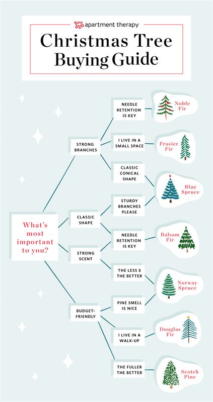 Buying A Christmas Tree Guide - Christmas Tree Types | Apartment Therapy Leanin Tree Christmas Cards, Christmas Tree Guide, Types Of Christmas Trees, Live Christmas Trees, Christmas Tree Sale, Grinch Face, Pre Lit Christmas Tree, Christmas Farm, Real Christmas Tree