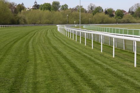 Horse Race Track, Luxury Horse Barns, Dancer Design, Brown And White Horse, Horse Racing Track, Luxury Horse, Tiny Horses, Racing Track, Horse Races