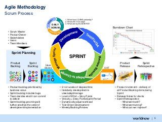 Agile Methodology Assessment Agile Methodology, Agile Project Management, User Story, Scrum Master, Kanban Board, Cognitive Science, Journey Mapping, Social Projects, Program Management