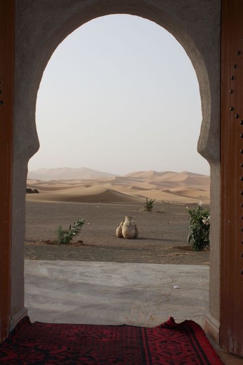 Middle East Culture, Desert Aesthetic, Morocco Travel, Family Travel Destinations, Sand Dunes, Wanderlust Travel, Travel Inspo, Travel Aesthetic, Budget Travel