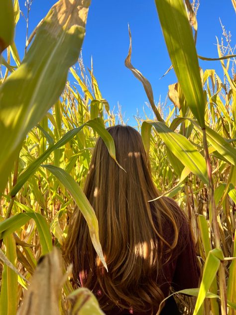 Corn Maze Photoshoot, Corn Maze Aesthetic, Corn Maze Pictures, Fall Couple Photos, Pumpkin Patch Pictures, Book Mood, Apple Hill, Fall Couple, Friend Pics