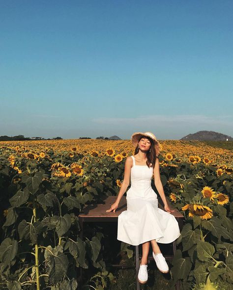 Andrea Chong on Instagram: “Can't wait to be back in Thailand this weekend, #throwback to sunny days in Khao Yai. ☀️ To help you experience #Priceless moments like…” Thailand Outfit, Sunflower Photography, Khao Yai, Thailand Photos, Summer Yellow, The Sunflower, Yellow Aesthetic, Ig Stories, Instagram Ideas