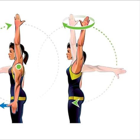 Shoulder Controlled Articular Rotation - Exercise How-to - Workout Trainer by Skimble Shoulder Rotation Exercises, Rotation Exercises, Gym Dumbbells, Interval Running, Crunches Workout, Bicycle Crunches, Downward Facing Dog, Free Workout, Instagram Help