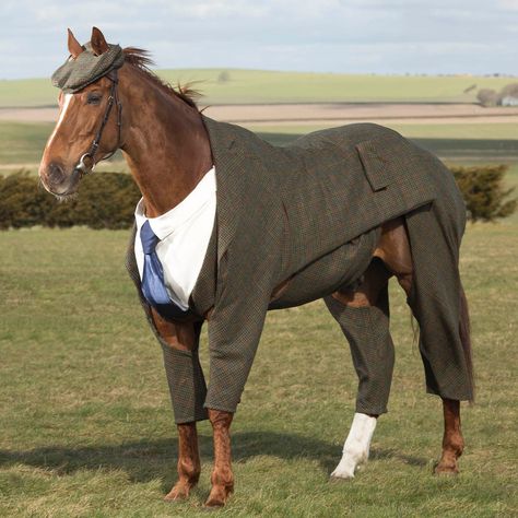 A Horse Wore A Suit Today | GQ Horse Suit, Party Animal Costume, Horse Halloween Costumes, Funny Horse Pictures, Animal Fails, Halloween Costume Suit, Horse Anatomy, Horse Costumes, Animal Print Wallpaper