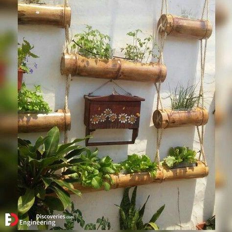 Creative Planters, Best Office Plants, Bamboo Screen, Bamboo Diy, Creative Planter, Bamboo Planter, Bamboo Decor, Plant Pot Decoration, Bamboo Art