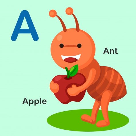 A Is For Ant, Preschool Alphabet Printables, Animal Alphabet Letters, Apple Vector, Kindergarten Reading Activities, Alphabet Pictures, Flashcards For Kids, Kids English, Animal Embroidery Designs