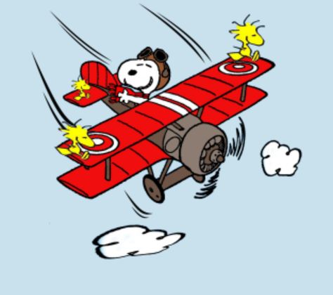 The Red Baron & Woodstock Snoopy Sunday, Red Baron Snoopy, Brown Cartoon, The Red Baron, Woodstock Snoopy, Woodstock Peanuts, Snoopy Comics, Short Friendship Quotes, Funny Morning Pictures