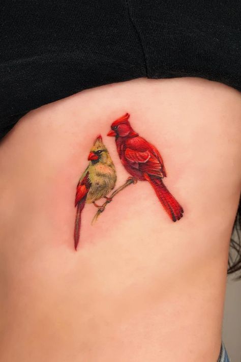 Two Cardinals Tattoo Black And White, Cardinals Birds Tattoo, Cardinal Tattoo Male And Female, Small Male And Female Cardinal Tattoo, Double Cardinal Tattoo, Male And Female Cardinals Tattoo, Pine Tree With Cardinal Tattoo, Make And Female Cardinal Tattoo, Hummingbird Cardinal Tattoo