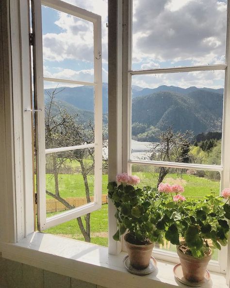 Window View, Through The Window, Humble Abode, Southwestern Style, Room Aesthetic, Flowers Nature, Garden Room, Nature Travel, Travel Aesthetic