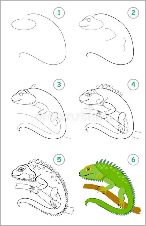 Easy Lizard Drawing, How To Draw Reptiles, Iguana Illustration, Iguana Drawing, Pin Wallpaper, Aurora Birthday, Animals Sketch, Green Iguana, How To Draw Steps