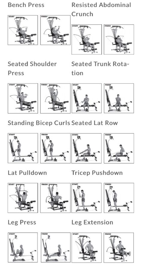 Bowflex Workout                                                       … Boflex Workouts, Bowflex Workout Plan, Bowflex Workout Routine, Beginner Workout Routine, Bow Flex, Bowflex Blaze, Bowflex Dumbbells, Bowflex Workout, Bow Legged Correction