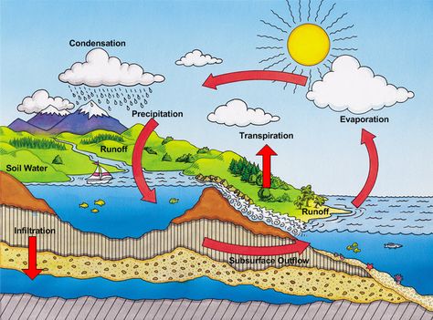 water cycle | water_cycle Water Cycle Chart, Water Cycle Game, Water Cycle Anchor Chart, Water Cycle Song, Water Cycle Lessons, Water Cycle Craft, Water Cycle Model, Water Cycle For Kids, Water Cycle Poster