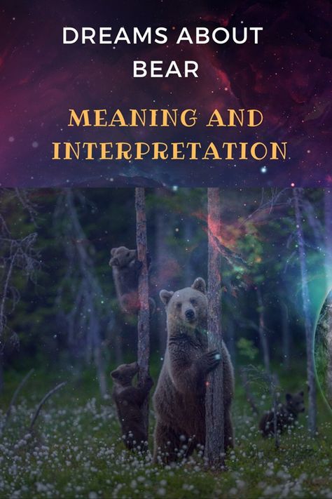 Bears are actually never seen in the wild. What does it mean in the interpretation of dreams when a bear finds its way into your dreams? #dreamsaboutbears #dreamsinterpretation #bears Bear Meaning, The Interpretation Of Dreams, Interpretation Of Dreams, Bear Attack, Dream Meanings, Dream Interpretation, Grizzly Bear, Acupressure, In The Wild