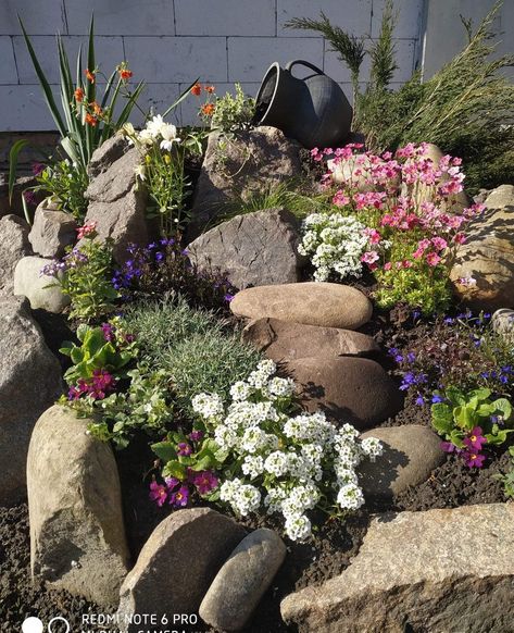 Rockery Garden, Succulent Garden Landscape, Moderne Have, Alpine Garden, Stone Landscaping, Front Garden Landscape, Landscaping With Boulders, Rock Garden Plants, Rock Garden Design