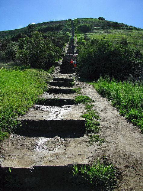 Culver City stairs Culver City Stairs, City Stairs, La Hikes, Apartment Guide, Los Angeles Travel, West Los Angeles, Culver City, Coastal Beaches, Beach Town