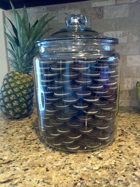 Oreos in a Jar inspired by Khloé Kardashian.  Just pick up a Heritage Hill Jar - 2 Gal from Target and about 6 pkgs of Double stuffed Oreos. Very important to use double stuffed if you want to achieve this look. No need to fill the middle unless you really want to. I just did one layer across the bottom.  Cookies last a month.  Unless you eat then all before then! So easy! Cookie Jar Decoration, Pantry Organization Ideas Shelves, Deep Pantry Organization, Double Stuffed Oreos, Cleaner Living, Balinese Decor, Khloé Kardashian, Tea Sandwiches, Home Organisation