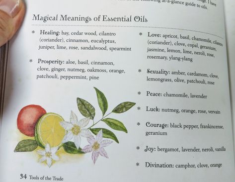 Lemon Magical Properties, Tomato Magical Properties, Neroli Magical Properties, Lemon Oil Magical Properties, Orange Essential Oil Magical Properties, Chamomile In Witchcraft, Tea Remedies, Neroli Essential Oil, Healing Essential Oils