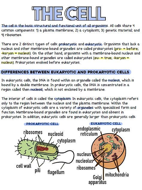 Plant Cell Notes Biology, Biology Foundation Notes, Micro Biology Notes, Bsc 1st Year Zoology Notes, Prokaryotic Cell Notes, Basic Biology Notes, General Biology Notes, Grade 11 Biology Notes, Atp Biology