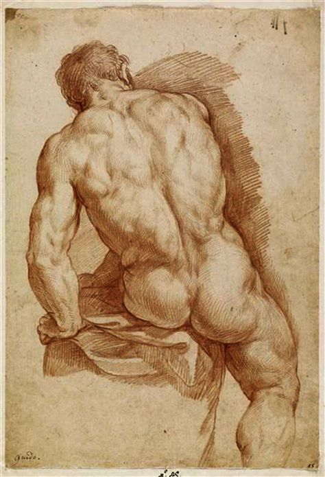 Masters Sketches, 남성 근육, Male Body Art, Male Figure Drawing, Master Drawing, Human Figure Drawing, Human Anatomy Art, Anatomy Sketches, Art Of Man