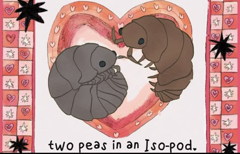 Two Bugs In Love, Bugs In Love, Isopod Art, Rollie Pollie, Cool Bugs, Bug Art, Chur, Bugs And Insects, Love Bugs