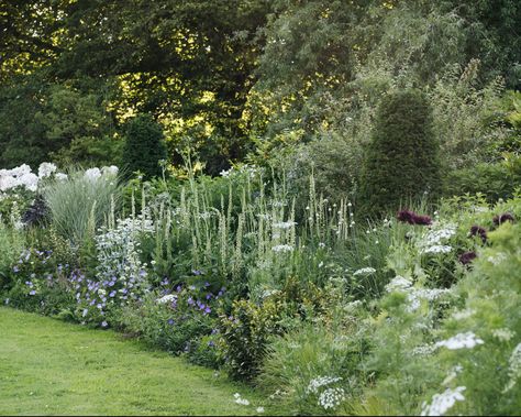 Modern Garden Landscape, Boarder Plants, Plant Palette, Naturalistic Garden, Landscape Design Ideas, Planting Design, Herbaceous Border, Dry Garden, Garden Decor Ideas