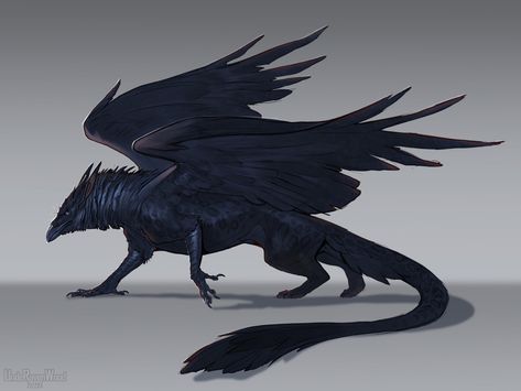 Black Griffin Art, Flying Creature Art, Black Feathered Dragon, Raven Monster Art, Dark Fantasy Animals, Griffin Concept Art, Raven Griffin, Crow Griffin, Griffin Art Mythical