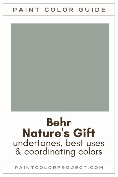 Behr Paint Natures Gift, Behr Greens For Bedroom, Bathroom Wall Colors Behr, Natures Gift Behr, Natures Gift Behr Paint, Behr Nature's Gift, Grey Green Behr Paint Color, Behr Neutral Green Paint Colors, Behr Vintage Paint Colors