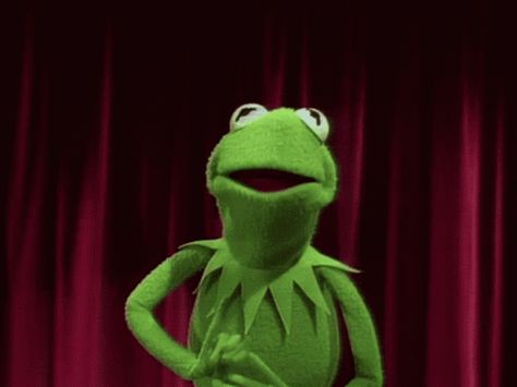 Kermit Gif, Kermit Face, Fly Gif, Creepy Gif, Gif