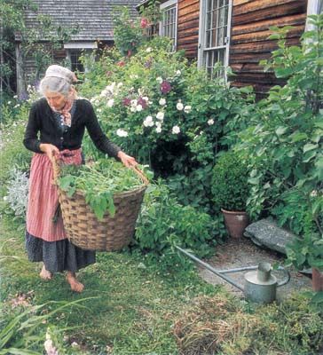 England Garden, Tasha Tudor, The Tudors, Marjolein Bastin, Hedge Witch, Magic Garden, Tudor House, Old Woman, Simple Living