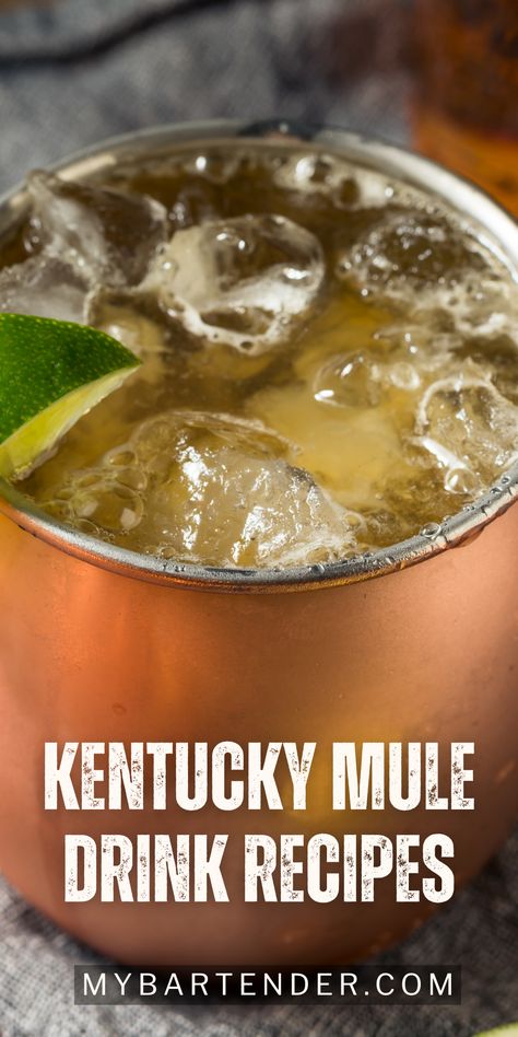 The Kentucky Mule is in this bracket of ginger beer cocktails: instead of the Moscow’s vodka, it uses Kentucky bourbon. Read the blog to get complete recipe. #summercocktailrecipes Whiskey And Ginger Beer, Bourbon Ginger Beer Cocktail, Kentucky Mule Recipe Bourbon, Kentucky Mule Recipe, Whiskey Mule Recipe, Mule Drink Recipes, Bourbon Mule, Ginger Beer Drinks, Kentucky Mule