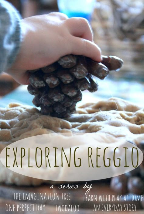 Learn about the philosophies and ideas behind the Reggio approach and be inspired with activities and materials to try at home and in the classroom. Reggio Emilia Preschool, Reggio Emilia Classroom, Emergent Curriculum, Reggio Emilia Approach, Reggio Inspired Classrooms, Reggio Emilia Inspired, Imagination Tree, Reggio Classroom, Early Childhood Learning