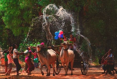 Guide for Thingyan Festival - Myanmar (Burma) new year's water festival Thingyan Festival, New Year Traditions, Water Festival, New Years Traditions, Dont Touch My Phone Wallpaper, Religious Ceremony, Amazing Nature Photos, Beautiful Backgrounds, Amazing Nature