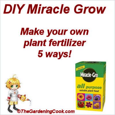 DIY Miracle Grow Recipe: Here are a few ways to fertilize without the use of chemicals. DIY Miracle Grow: Ingredients:  1 gallon of water 1 tbsp epsom salt or apple cider vinegar 1 tsp baking powder 1/2 tsp ammonia Mix all ingredients together and use once a month. www.gardengurulawntools.com Diy Miracle Grow, Homemade Plant Food, Diy Fertilizer, Plant Fertilizer, Miracle Grow, Plant Projects, Fertilizer For Plants, Gallon Of Water, Soil Improvement