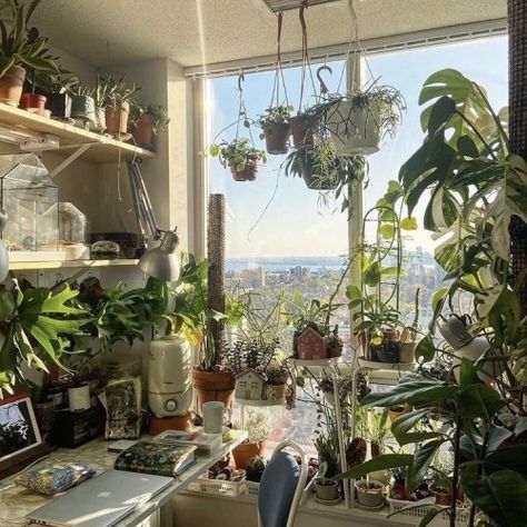 Greenhouse Astethic, Ideas Terraza, Plant Study, Room Deco, Aesthetic Rooms, Pretty Room, Dreamy Room, Room With Plants, Dream Apartment