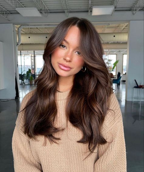 Soft Brown Balayage Subtle Highlights, Light Brown Layered Hair Medium, Rick Brown Hair Color, Brown Hair W Dimension, Level 7 Chocolate Brown Hair, Low Maintenance Brunette Balayage, Asian Brunette Hair Dark Brown, Chocolate Brown Hair Toner, Dark Gloss On Hair