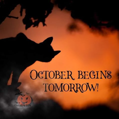 October Magic, Autumn Sonata, Halloween Centerpieces, Halloween Live Wallpaper, October Quotes, Halloween Playlist, Halloween Memes, Autumn Girl, Halloween Makeup Scary