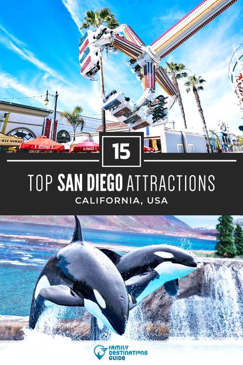 California Tourist Attractions, San Diego Attractions, Seaworld San Diego, La Jolla Shores, San Diego Travel, Family Destinations, All I Ever Wanted, Tourist Spots, San Diego California