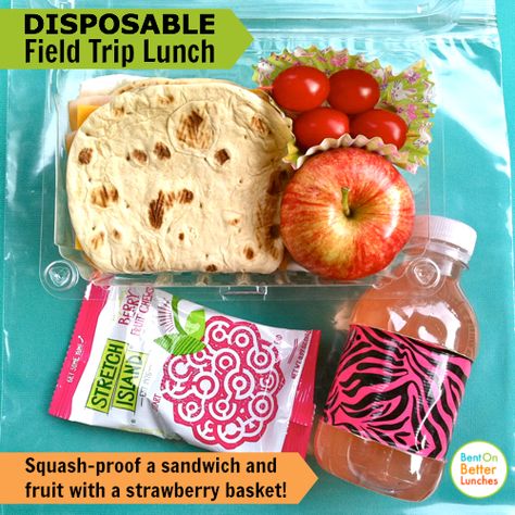 Disposable recyclable field trip lunch Field Trip Lunch Ideas, Field Trip Lunch, Easy Packed Lunch, Kids Lunch Box Meals, Fruit Lunch, Berry Basket, School Field, Sack Lunch, Cold Lunches