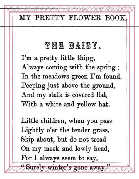 The Daisy poem 1867. Poems About Daisies, Daisy Poem, Daisy Core, Posy Flowers, Daisy Quotes, Women Retreat, Quilts Easy, Baby Quilts Easy, Rosy Posy