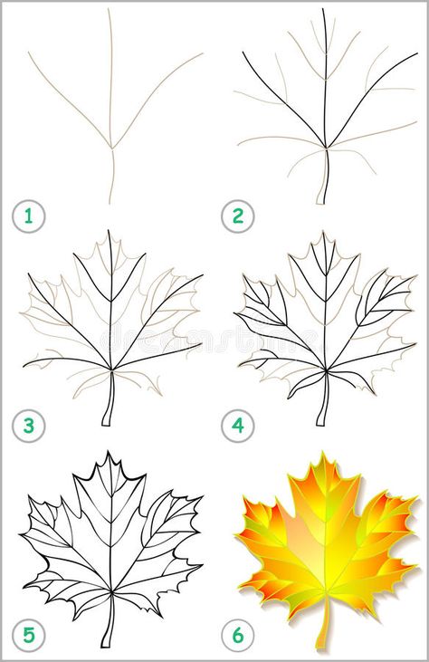 Maple Leaf Drawing, Fall Leaves Drawing, For Drawing, Maple Leaf Art, Fall Drawings, Fall Art Projects, Leaf Drawing, Quilt Designs, Drawing Tutorials