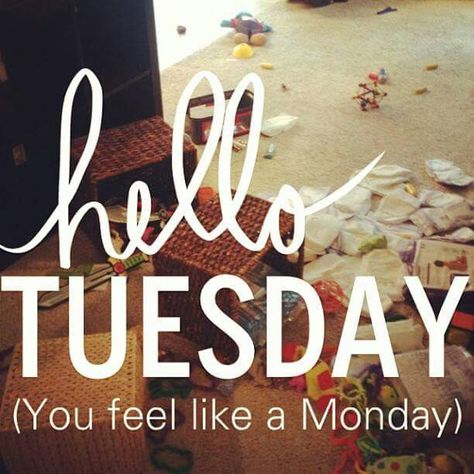 This is the Mondayest Tuesday ever man! Facebook Post Ideas, Thursday Humor, Wednesday Humor, Hello Tuesday, Cleaning Quotes, Monday Feels, Tuesday Quotes, Tuesday Humor, Weekday Quotes