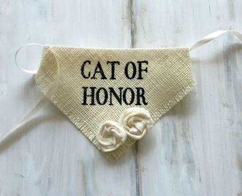 April Weddings, Wedding Dog Collar, Wedding Canvas, Cat Wedding, Arch Wedding, Sweet Kitty, Wedding Pets, Cat Bandana, Future Wedding Plans