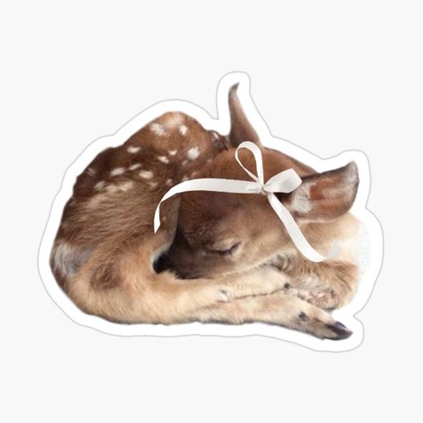 Get my art printed on awesome products. Support me at Redbubble #RBandME: https://www.redbubble.com/i/sticker/Coquette-baby-deer-with-a-bow-by-Pixiedrop/164742418.EJUG5?asc=u Deer With Bow Coquette, Stickers Aesthetic Printable, Printable Stickers Aesthetic, Coquette Stickers, Deer Sticker, Bow Sticker, Ipad Stickers, French Girl Aesthetic, Girly Birthday