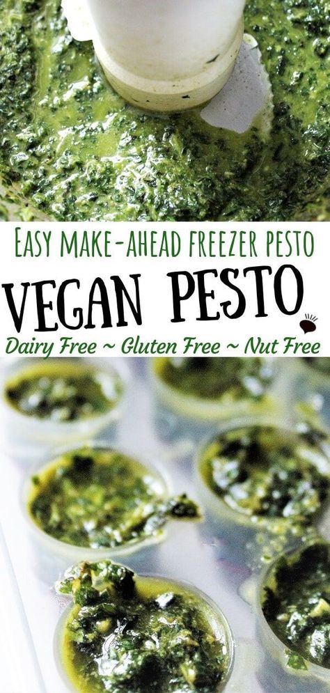 An easy vegan pesto recipe that is nut free, gluten free, dairy free, and easy to make ahead and freeze in perfect amounts for all you vegan recipes that call for basil or pesto.  Make it with or without nuts.  Turn it into a delicious vegan pesto pasta sauce or add it to soups or Italian dishes. #veganpesto #dairyfreepesto #veganglutenfree #thehiddenveggies via @https://www.pinterest.com/gfveganmeals/ Pasta Sauce Dairy Free, Easy Vegan Pesto, Vegan Pesto Recipe, Nut Free Pesto, Vegan Pesto Pasta, Dairy Free Pesto, Basil Pesto Recipes, Dairy Free Pasta, Pasta Pesto