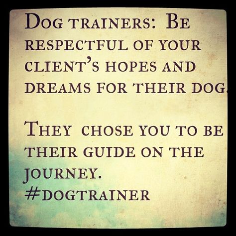 Great advice for dog trainers! Dog Trainer Quotes, Never Underestimate Quotes, Dog Training Quotes, Underestimate Quotes, Trainer Quotes, Business Name Ideas, Training Quotes, Puppy Stuff, Tech Info