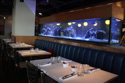 You gotta love a great banquette under a fish tank! #Restaurant #Design Fish Tank Restaurant, Hotel Kitchen Design, Jade Palace, Restaurant Design Concepts, Lounge Aesthetic, Bookshop Café, Restaurant Fish, Bistro Design, Saltwater Fish Tanks